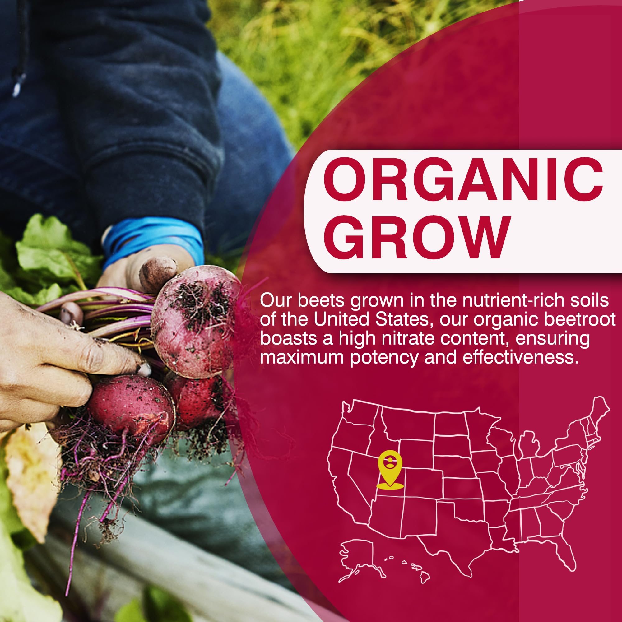 Safgumjel bottle with grape seed extract signaling polyphenol antioxidants and nitric oxide support.