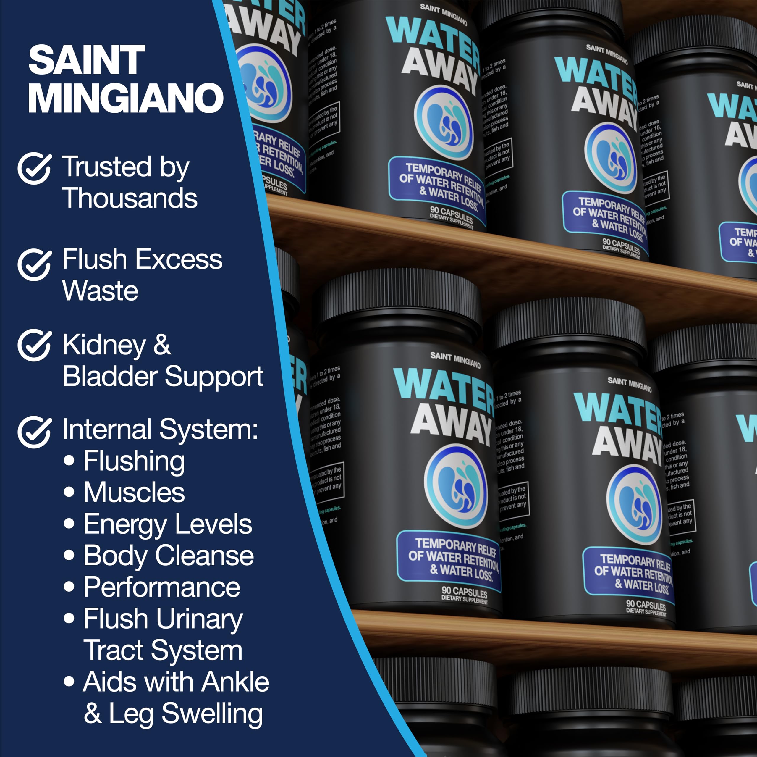 Illustration of kidneys and urinary tract support from Water Away