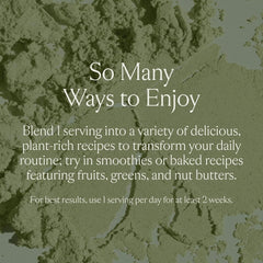 Plant-based protein blend components (pea, hemp, pumpkin) in Sakara powder