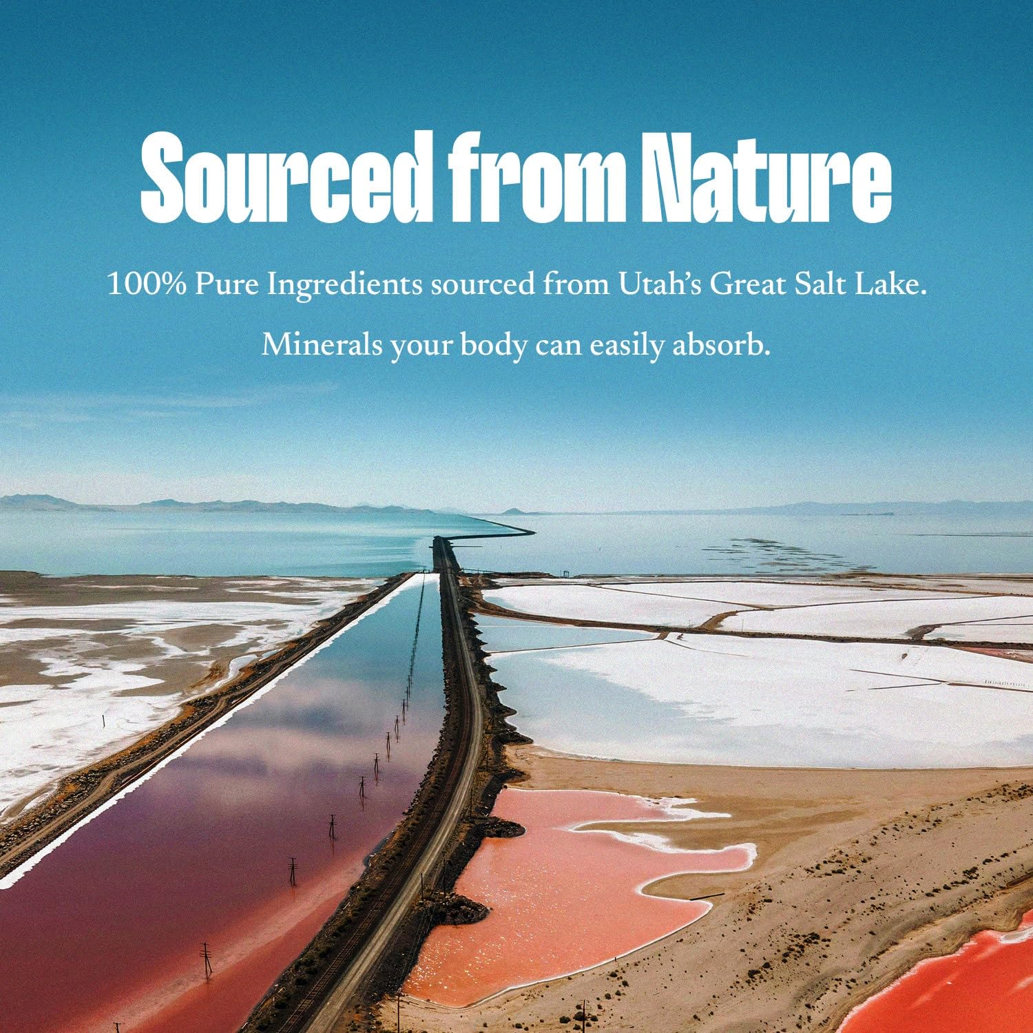 Ingredient list for SALTT Minerals Drops