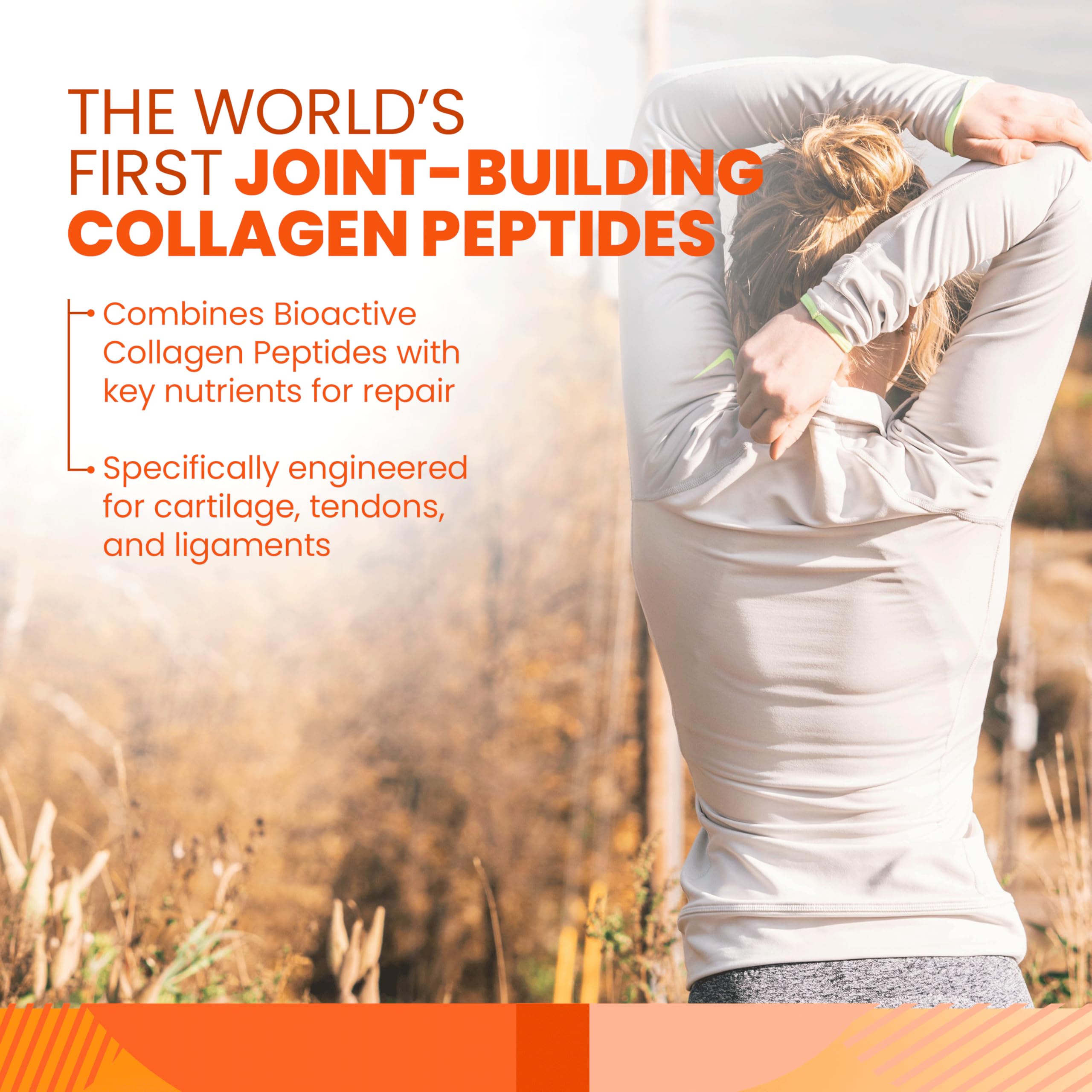 Fortigel and Tendoforte ingredients in Collagen Synthesis