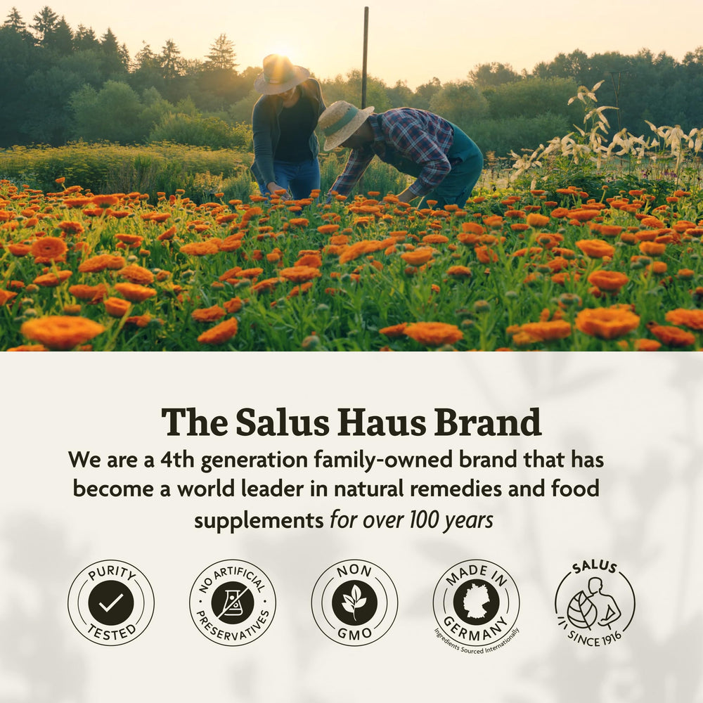 Highlights vitamin C folate magnesium and potassium