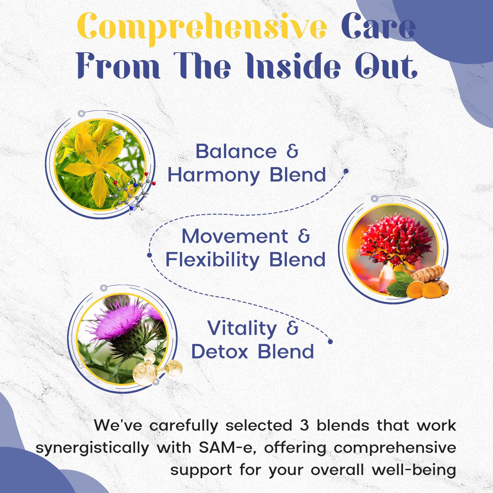 Vegan gluten-free SAM-e formula image