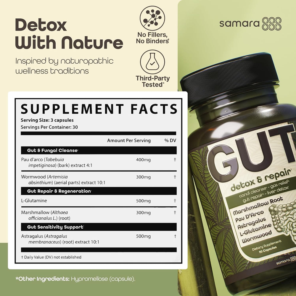 Diagram showing gut relief and digestion support concept