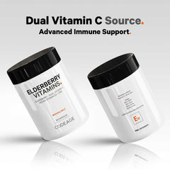 Sambucus elderberry berries illustration