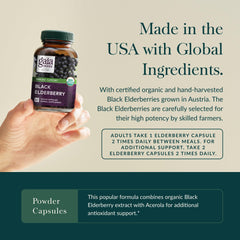 Concentrated Sambucus nigra elderberry extract