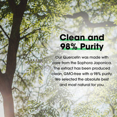 Measuring scoop with Quercetin 98%+ powder