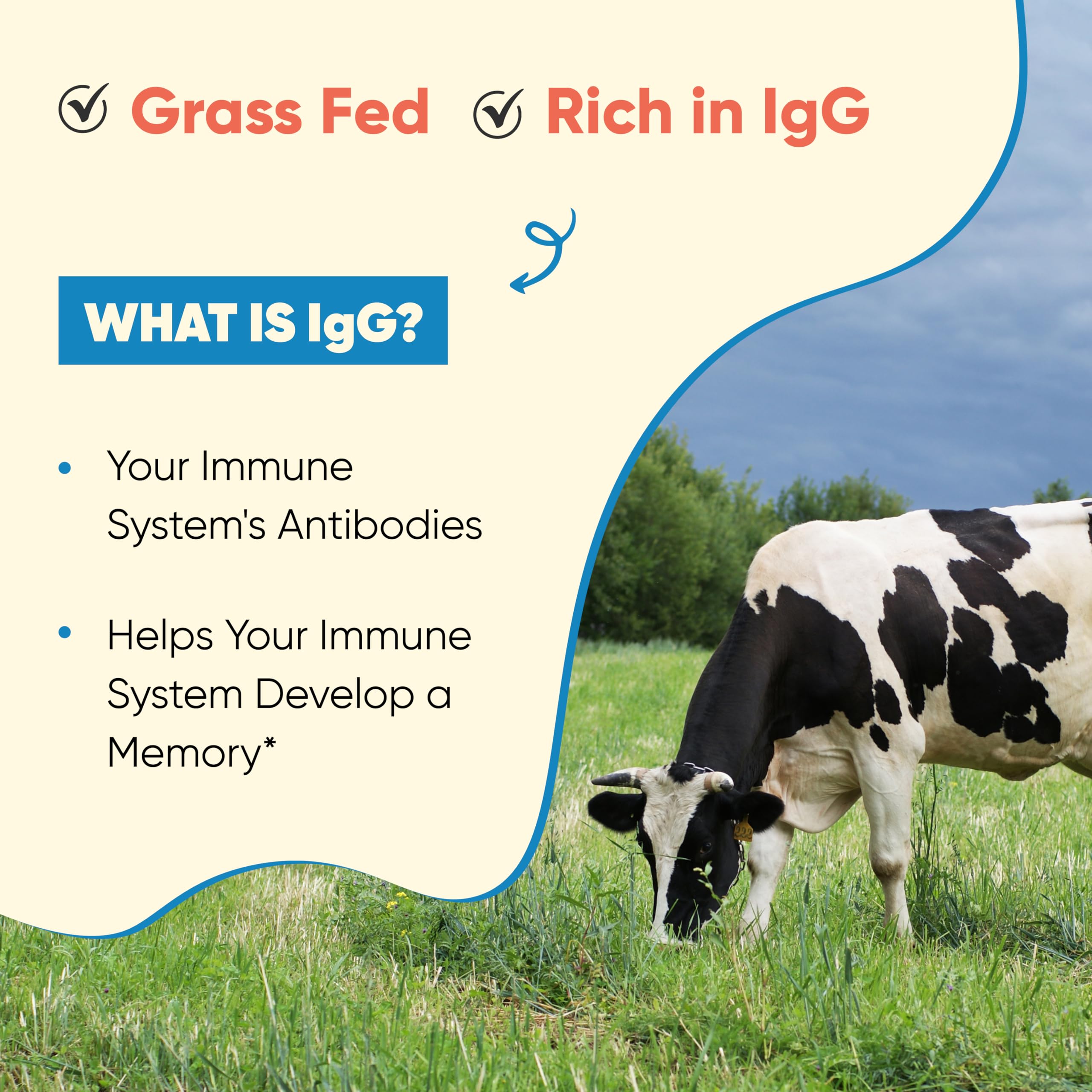 Immunity and gut health graphic