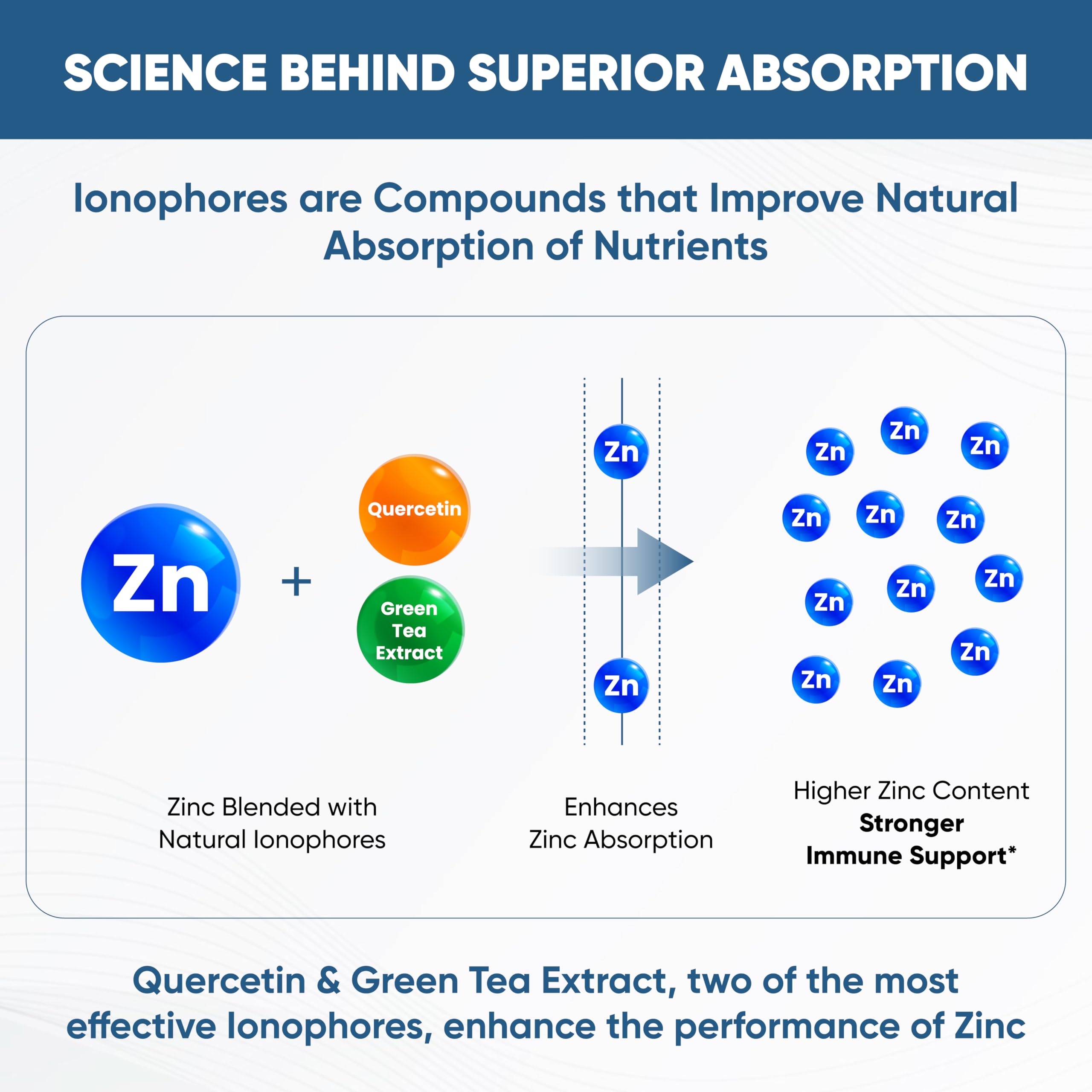 Zinc with natural ionophores Quercetin and Green Tea extract ingredients