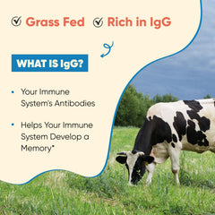 Colostrum powder being added to a glass of water