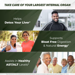 Milk thistle and herbal ingredients illustration