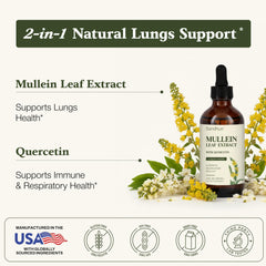 Close-up of Mullein and Quercetin blend ingredients