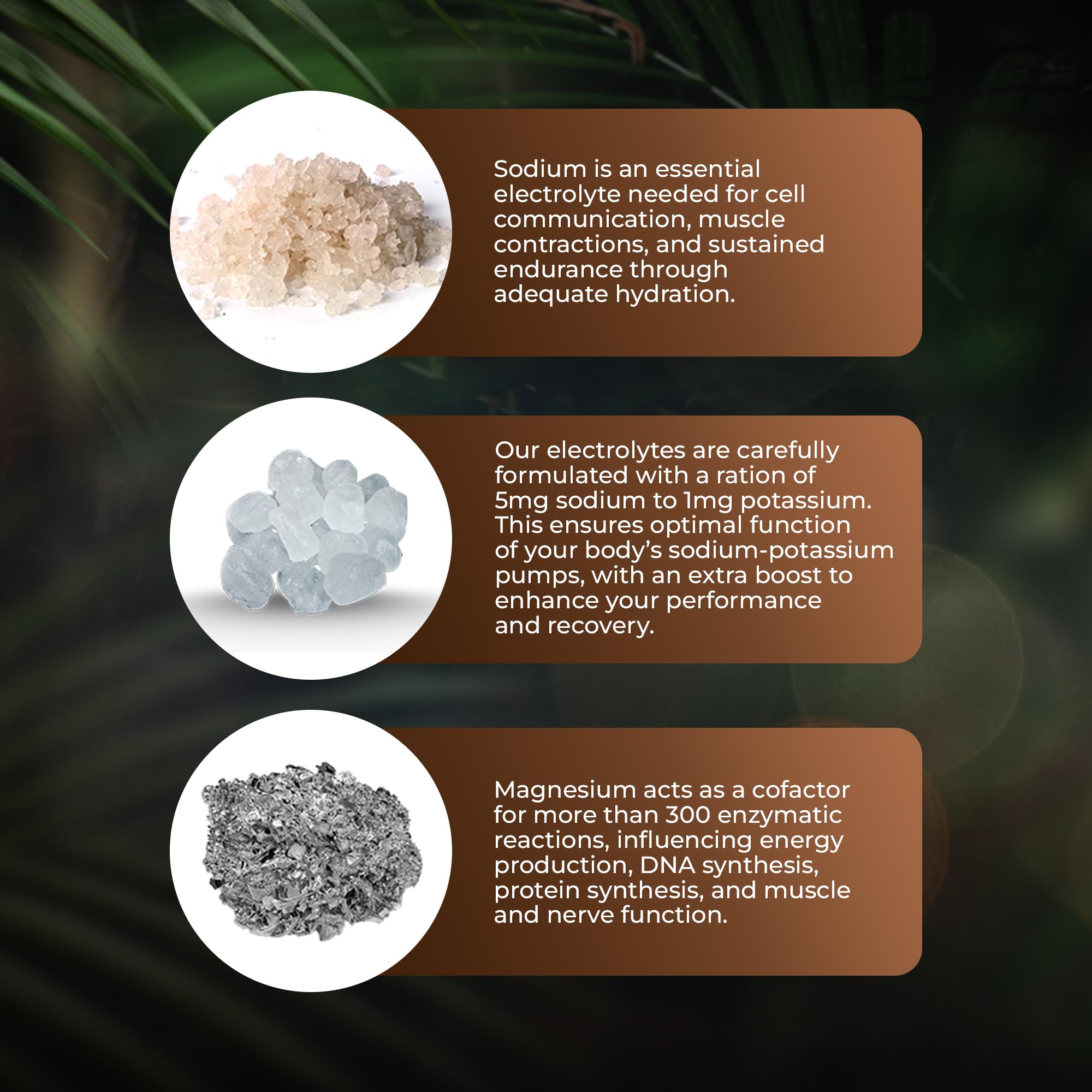 Bottle on kitchen counter beside water for hydration with Santa Cruz Paleo