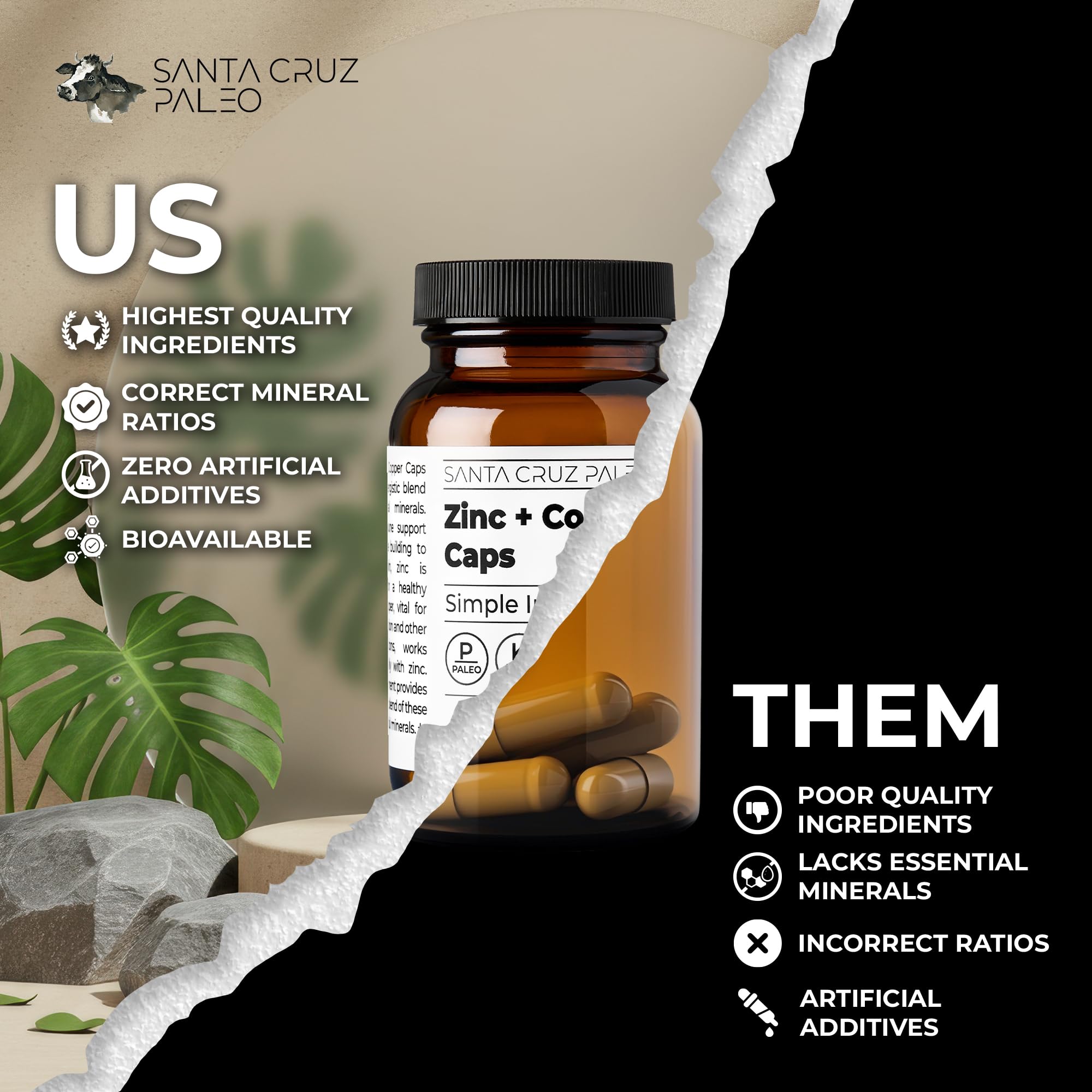 Bottom view of Santa Cruz Paleo Zinc + Copper Cap