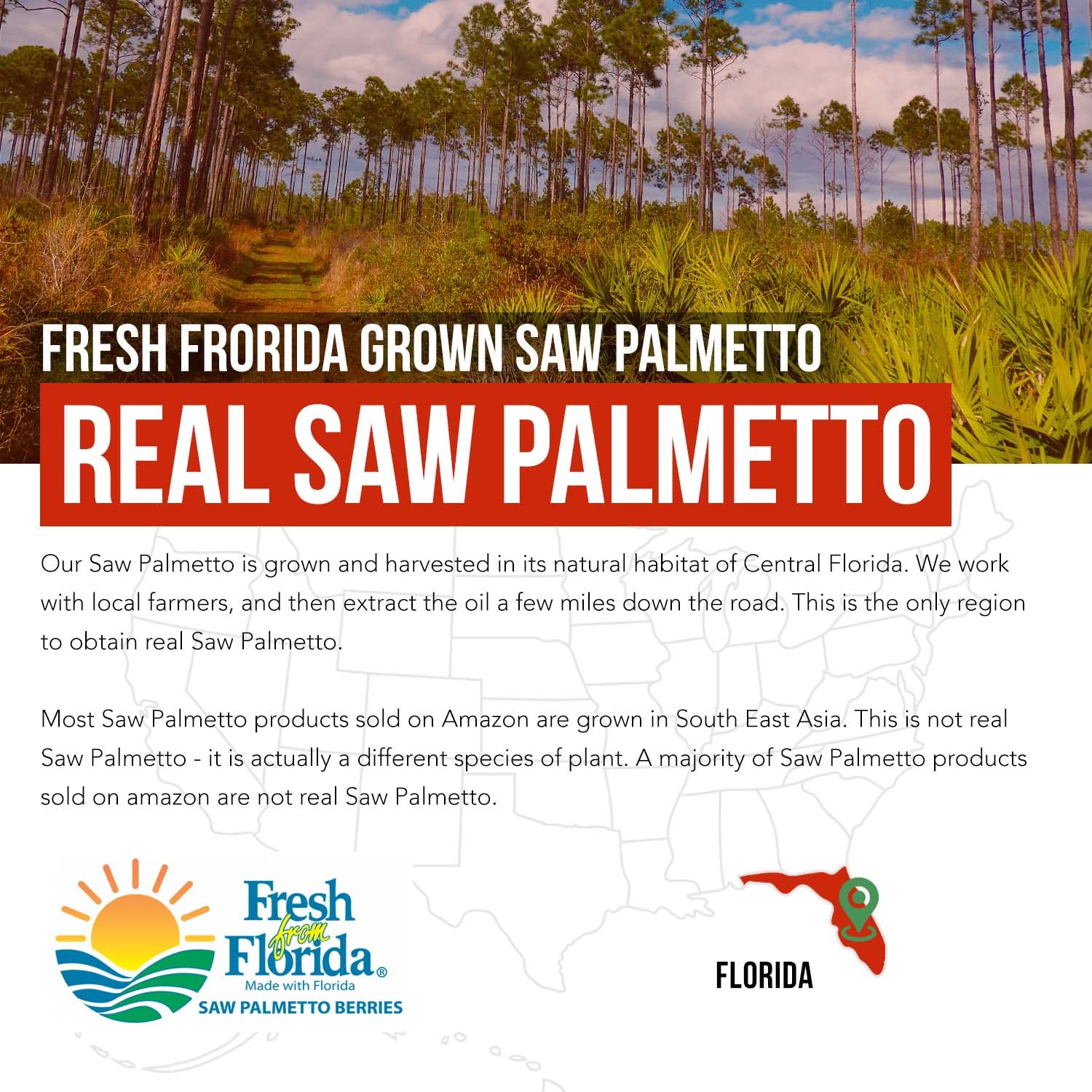 Saw Palmetto and Pumpkin Seed Oil blend illustration