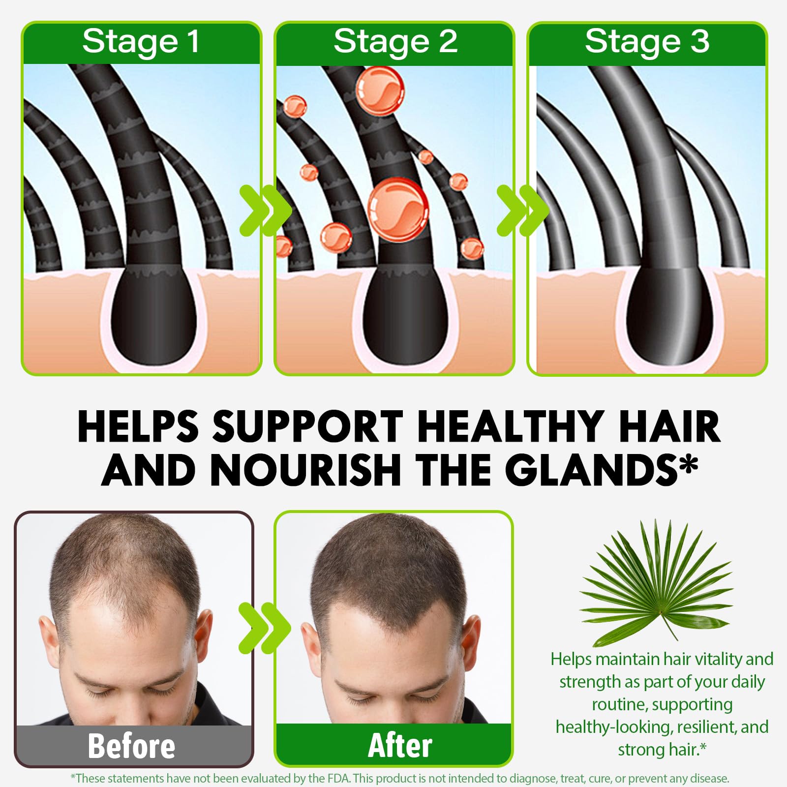 Reishi mushroom and plant-based ingredient blend