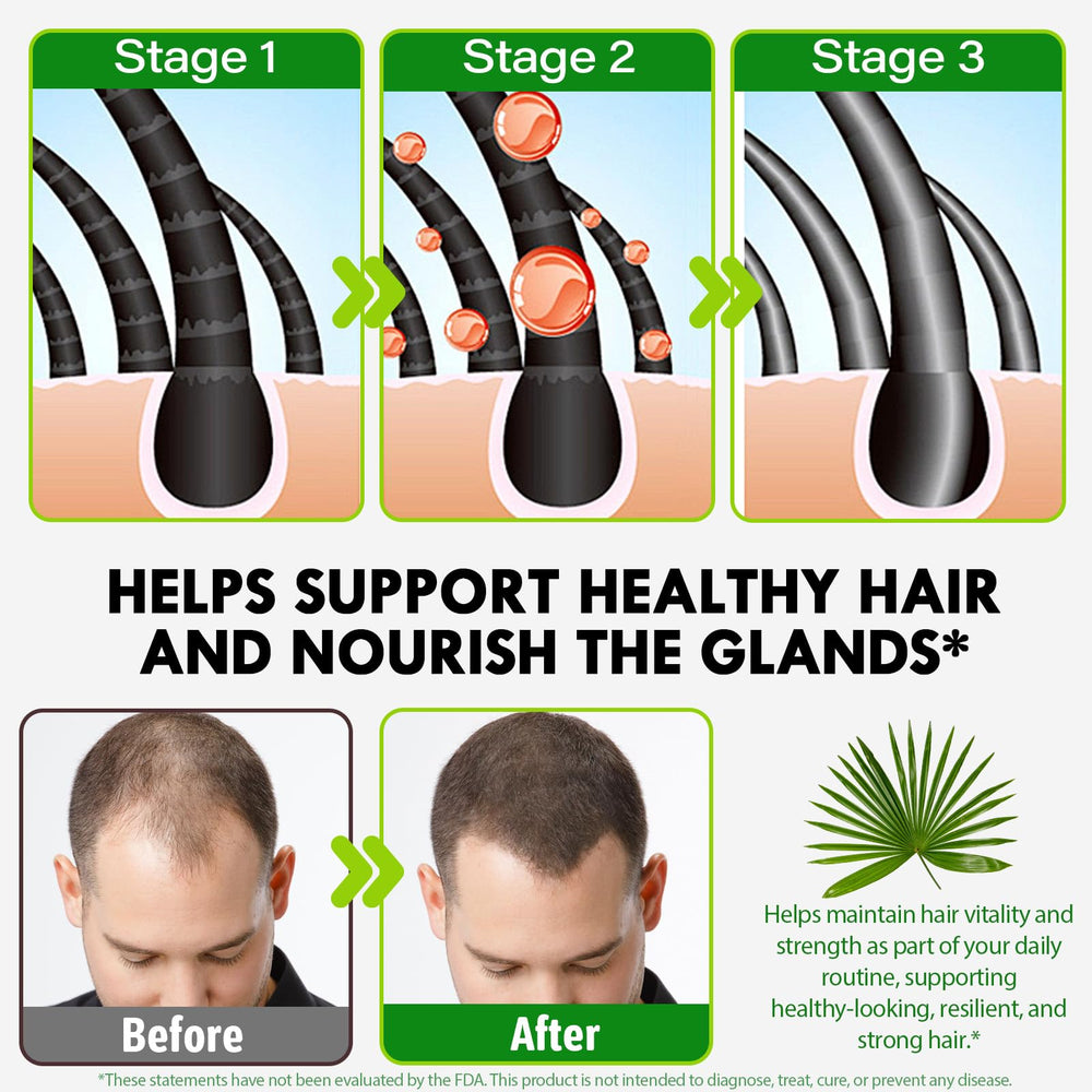 Reishi mushroom and plant-based ingredient blend