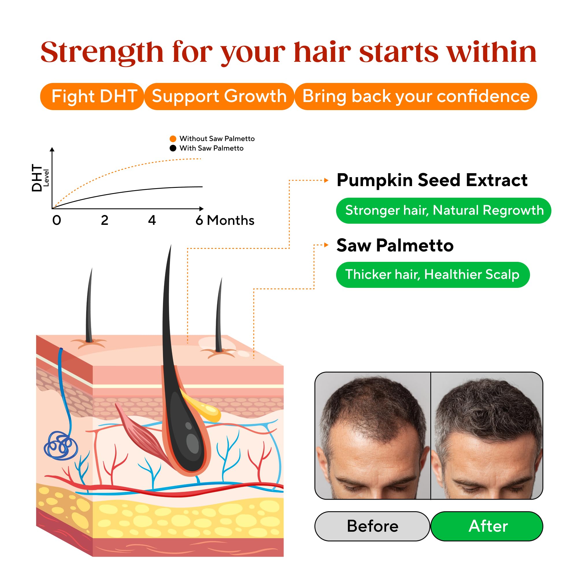 Graphic depicting hair growth support from gummies