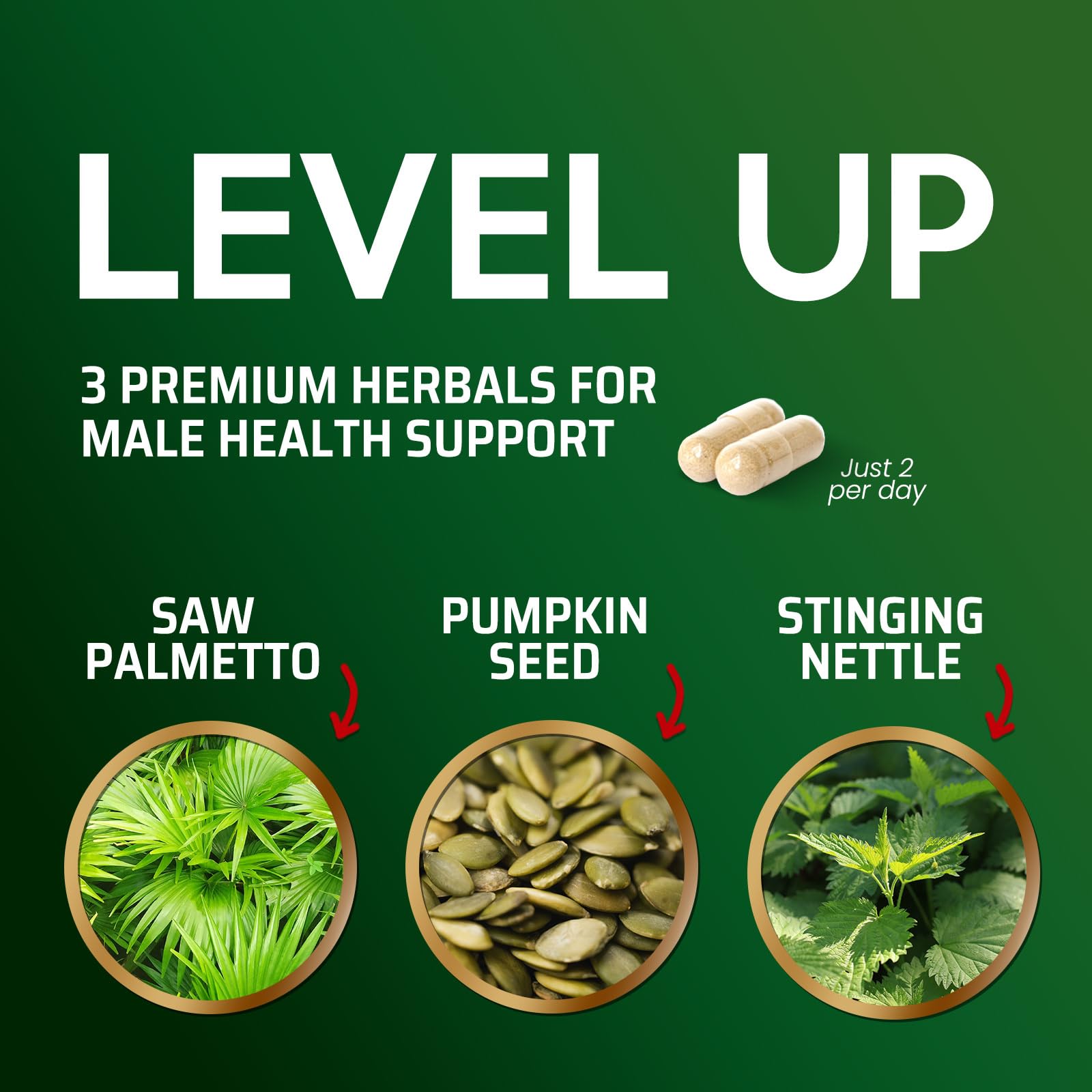 Hair health support from Saw Palmetto for Men