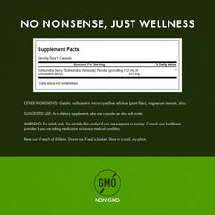 Schizandra berry capsules in bottle