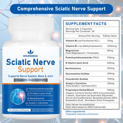 Graphic showing key ingredients in Sciatic Nerve Support formula