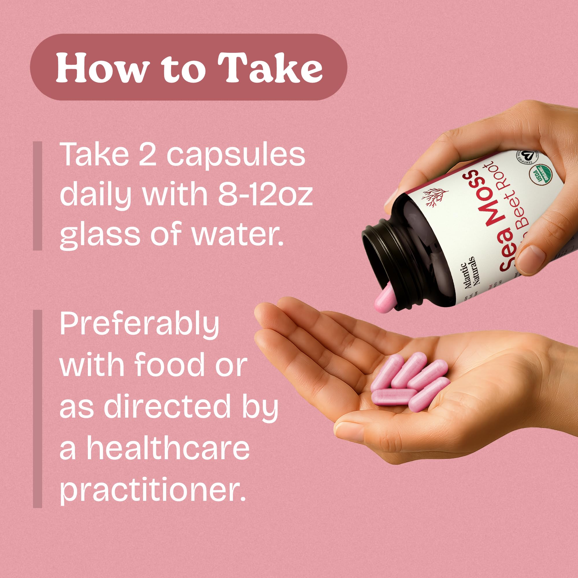 Hand holding Sea Moss Beet Root capsules for daily use