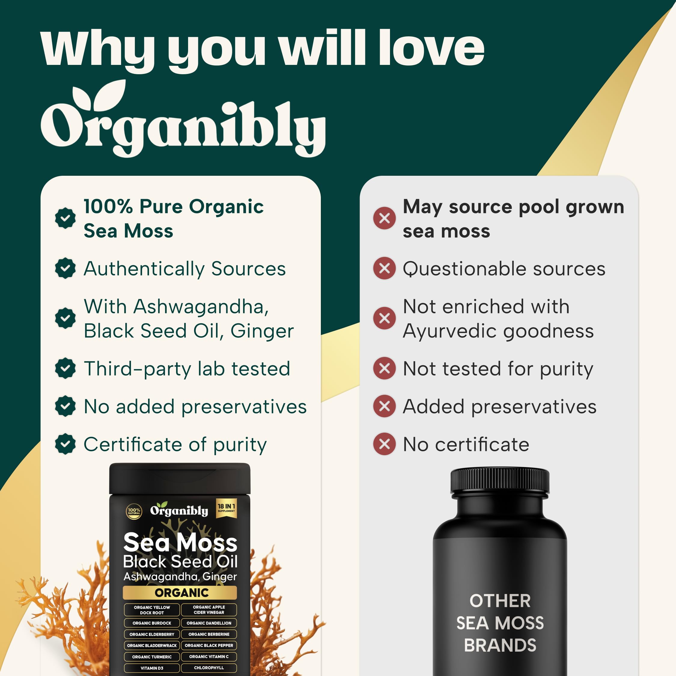 Blend of sea moss bladderwrack burdock root and apple cider vinegar capsules