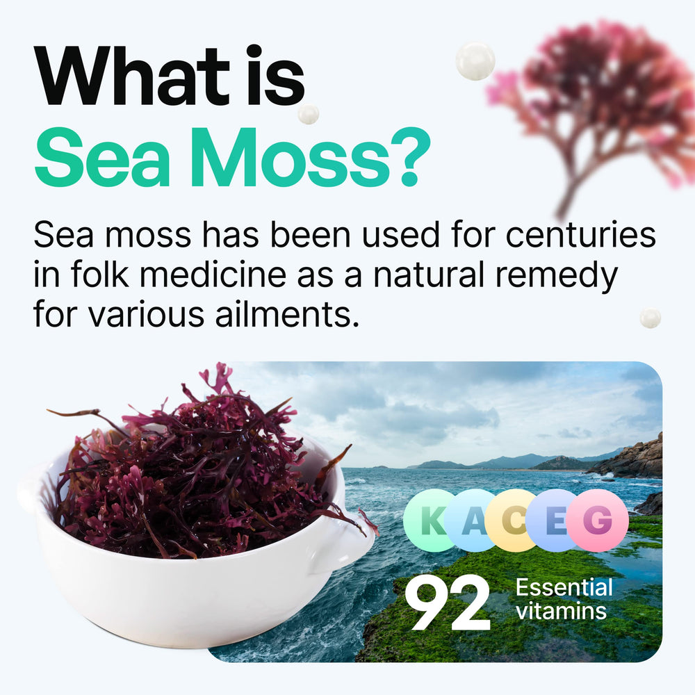 Sea moss capsules highlighting health benefits