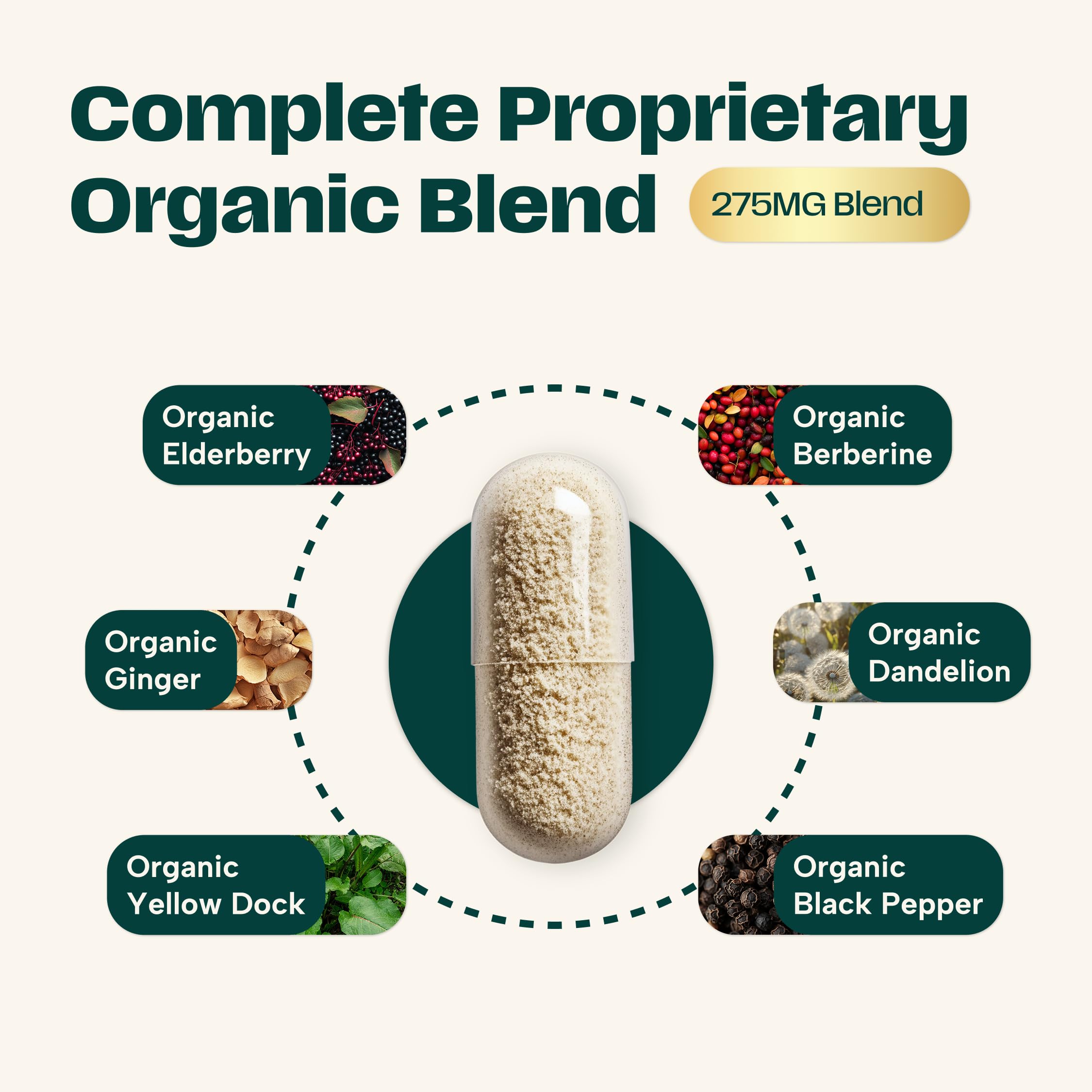 Sea moss capsules for immune support and energy