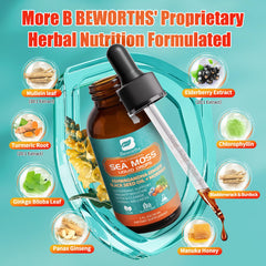 Sea moss chlorophyll liquid with elderberry and turmeric