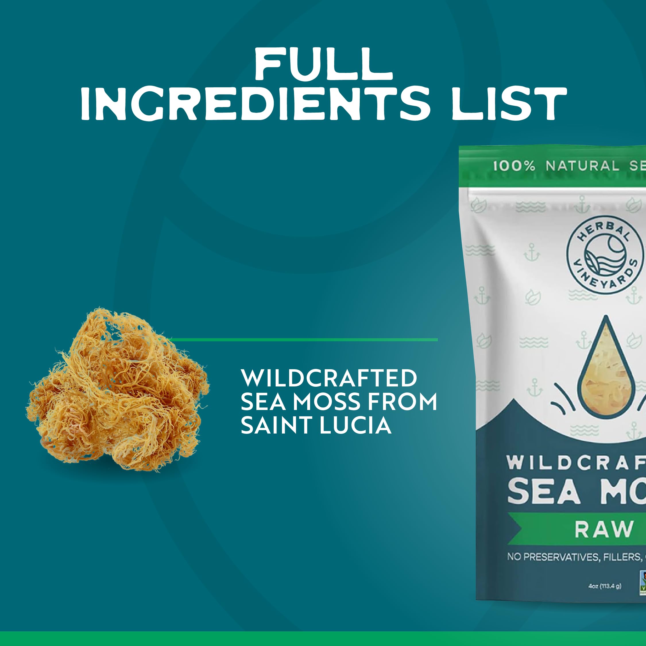 Preparing sea moss gel from dried sea moss
