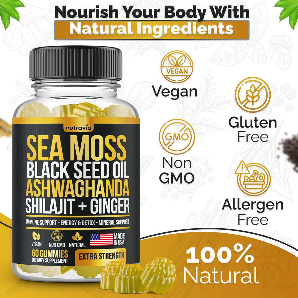 Close-up of Sea Moss Gummies ingredients including elderberry and chlorophyll