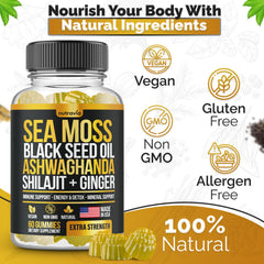 Close-up of Sea Moss Gummies ingredients including elderberry and chlorophyll