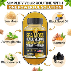 Gummies emphasizing 16-in-1 formula concept