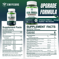 Sea moss gummies sugar-free jar with ingredients label