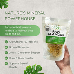 Sea moss minerals including magnesium and potassium