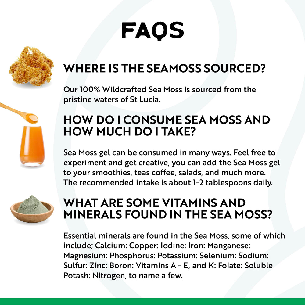 Sea moss used in teas, smoothies, and vegan ice cream
