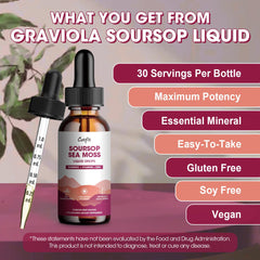 Sea moss and turmeric ingredients illustration