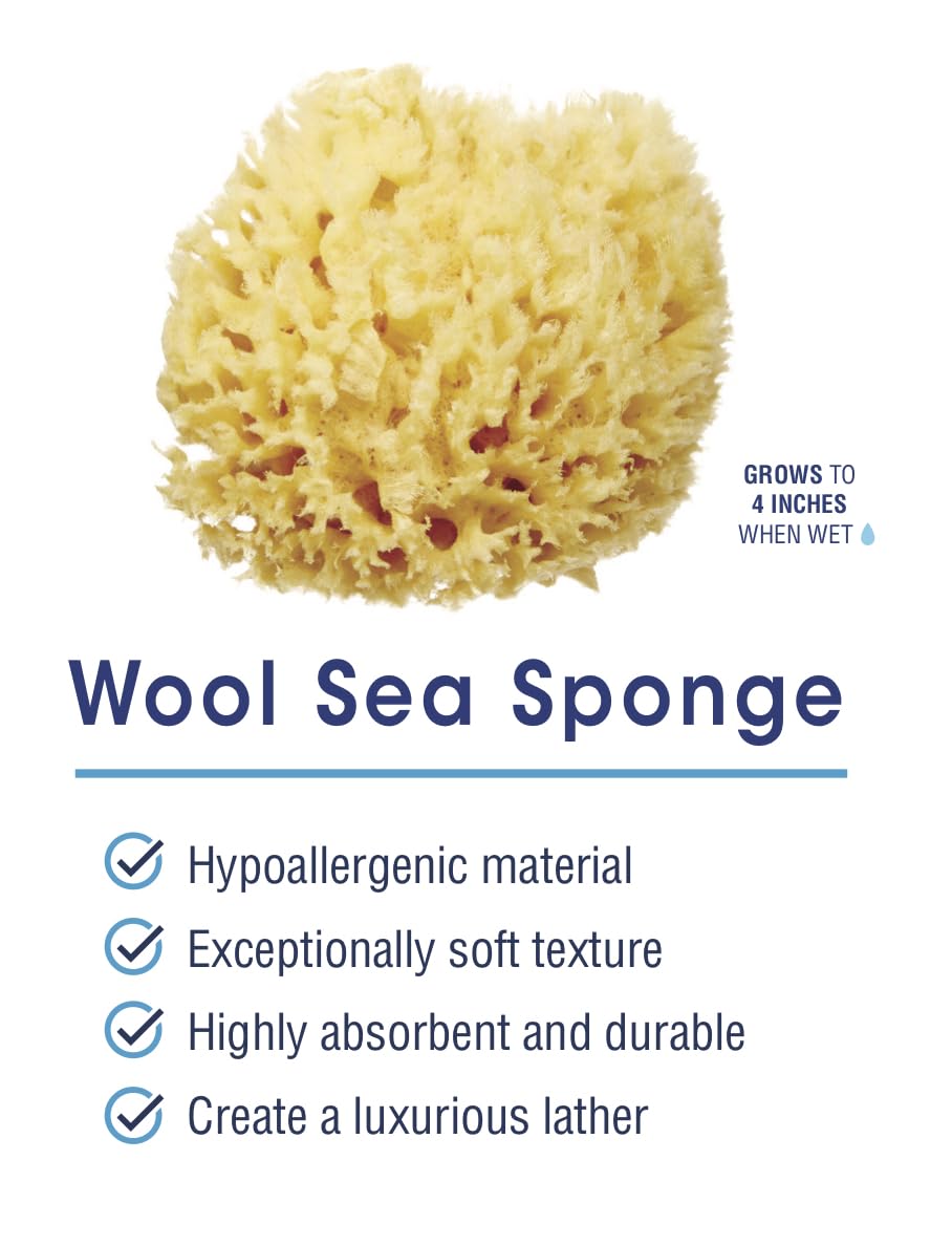Sea sponge demonstrating rich lather and absorbency