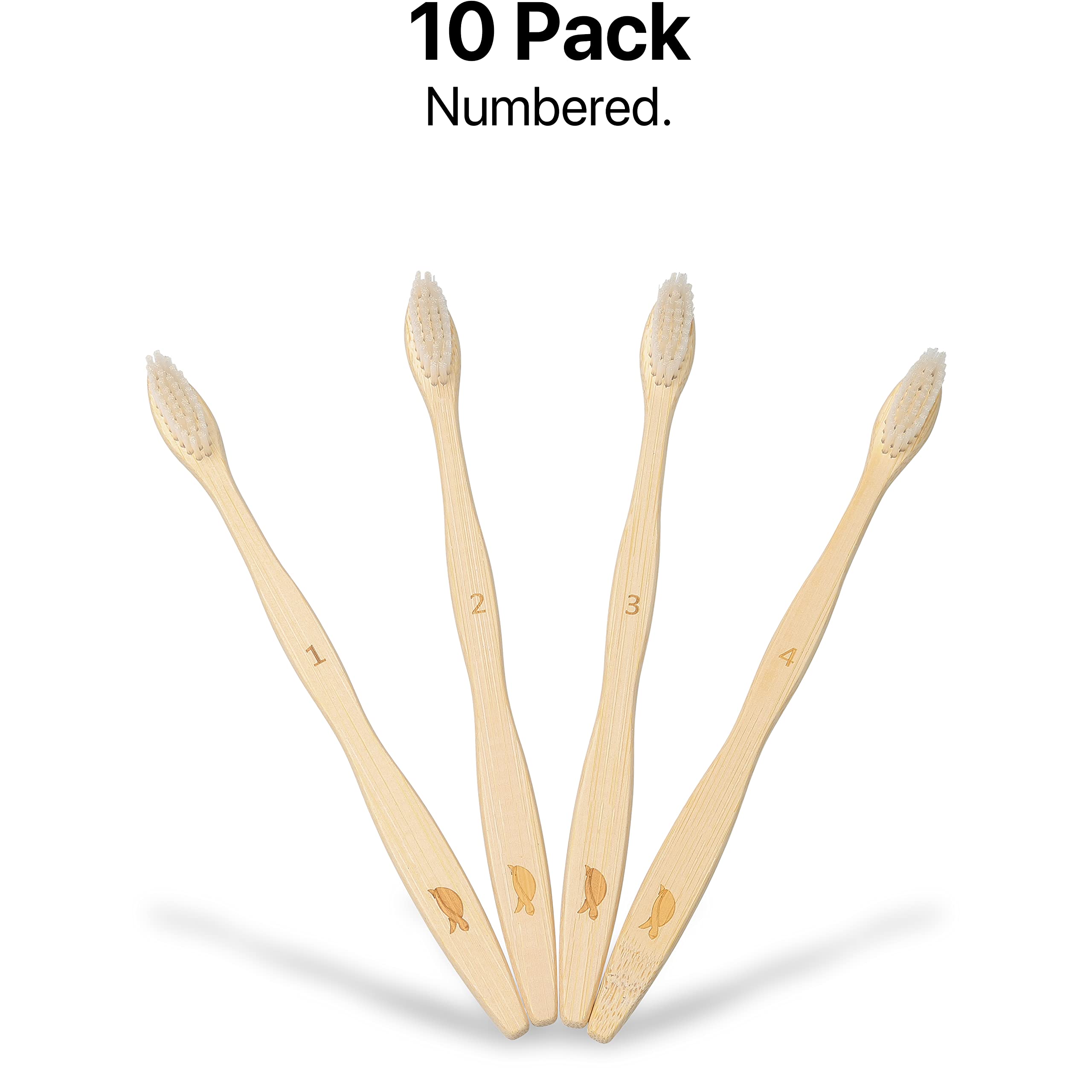 Set of Sea Turtle toothbrushes arranged together