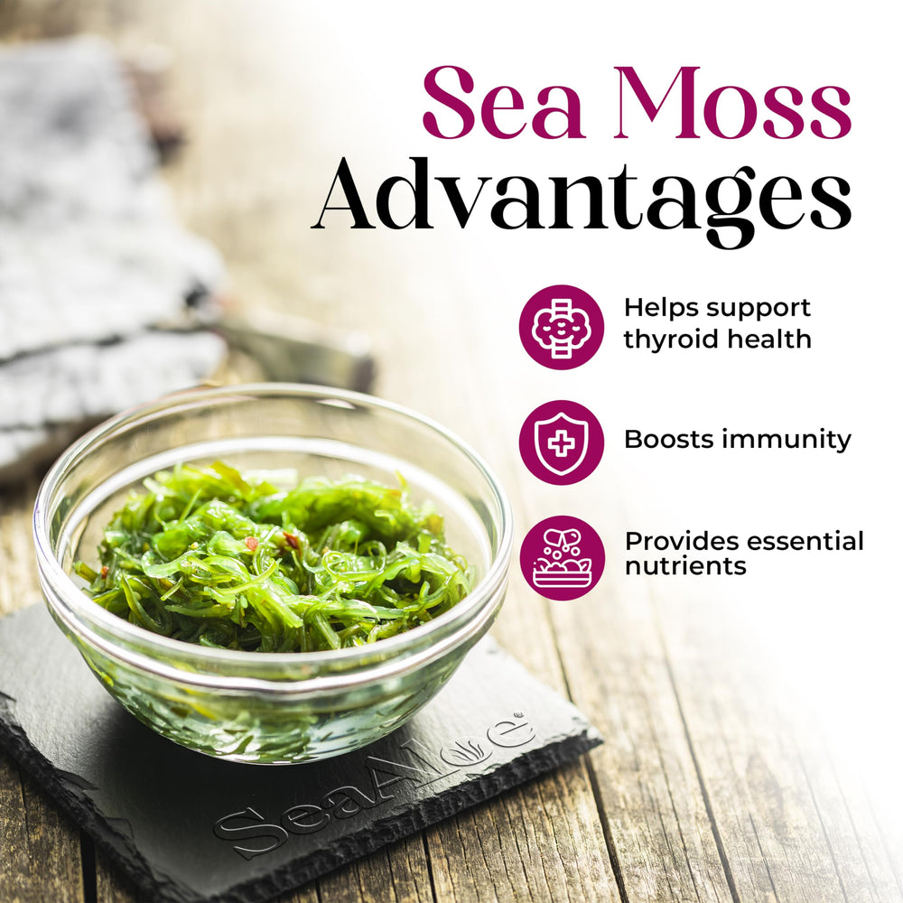 SeaAloe ingredients with Aloe Vera and 13 superfoods