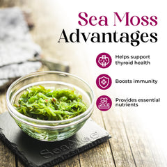 SeaAloe ingredients with Aloe Vera and 13 superfoods