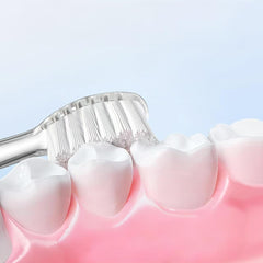 Twist-to-remove and twist-to-lock action on Seago kids electric toothbrush replacement head