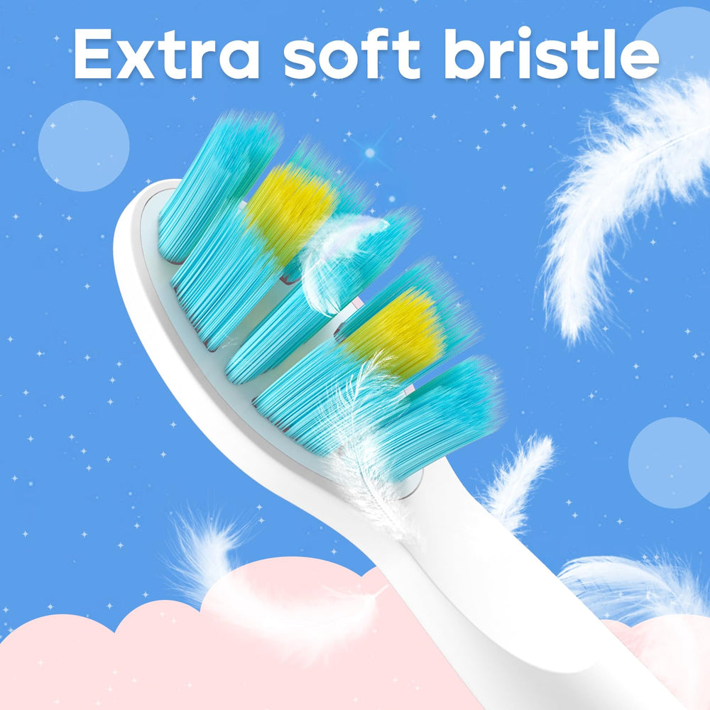 Packaging for SG-2303 brush heads