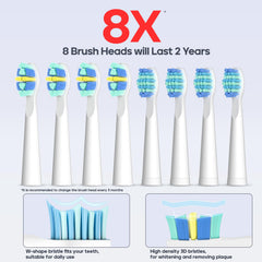 Eight replacement brush heads included