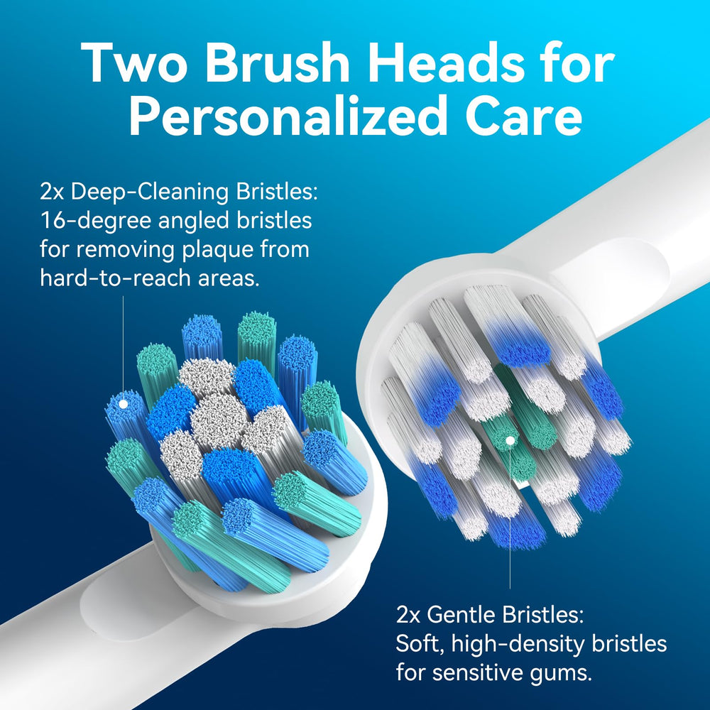 User manual for SEAGO SG-2603 blue toothbrush