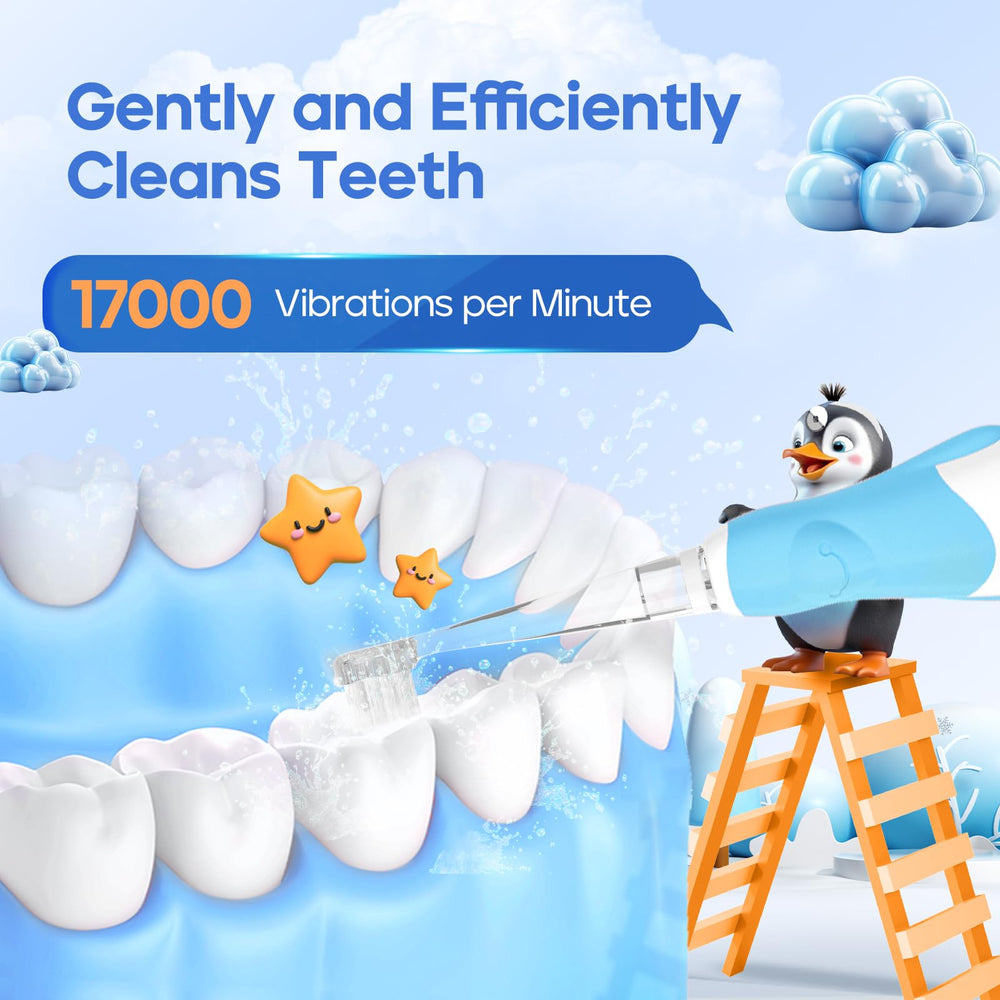 SG-513 Blue-C toothbrush with replacement heads layout