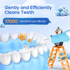 SG-513 Blue-C toothbrush with replacement heads layout