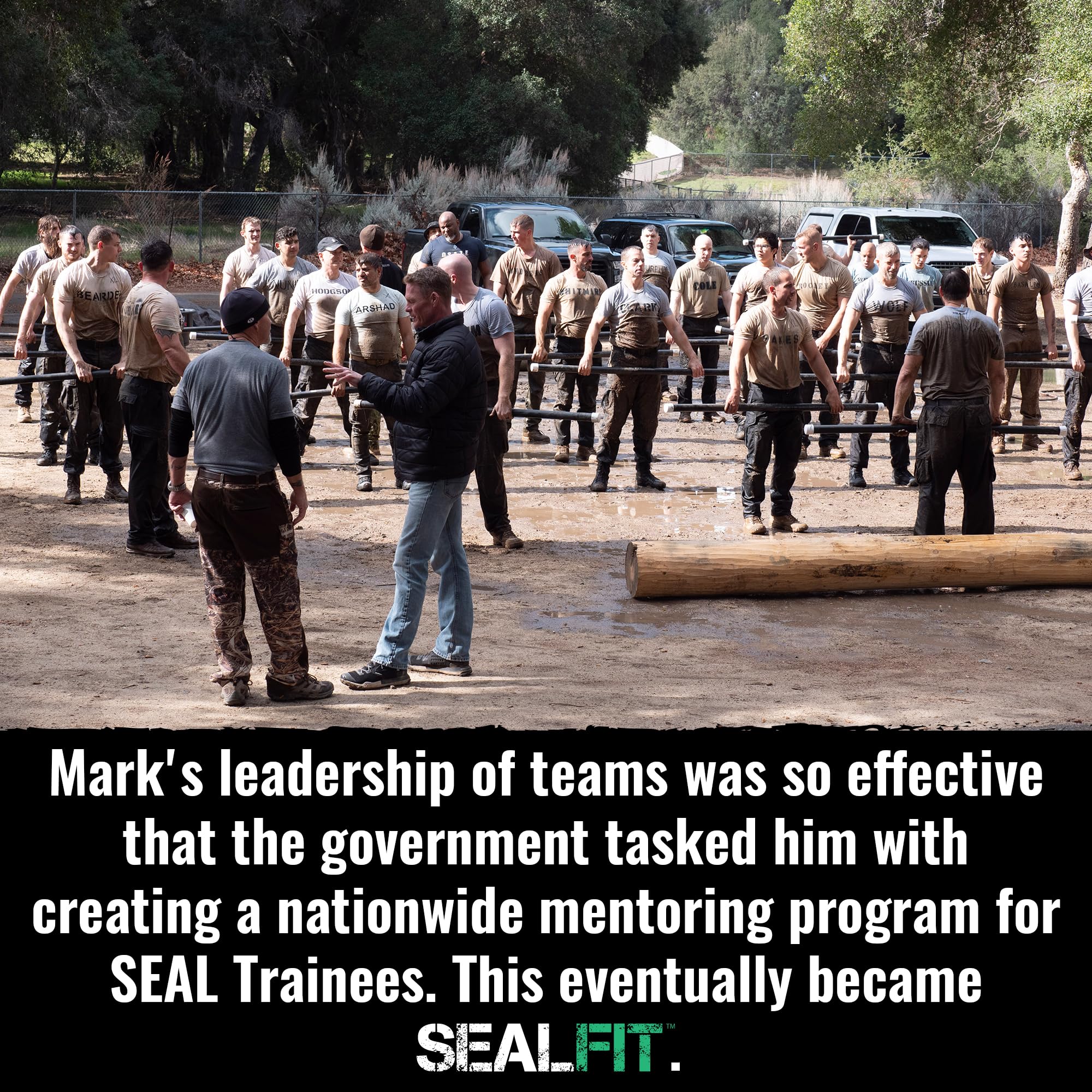 Immune support and gut health benefits illustration