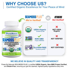 Seamoss Plus 60-count bottle